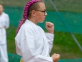 IMG_2893-1